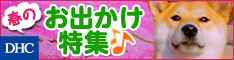 DHCオンラインショップ