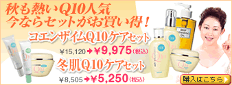 �R�G���U�C��Q10�^DHC�I�����C���V���b�v